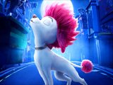 100% Wolf Lane Runner Game 100% Wolf Lane Runner Game