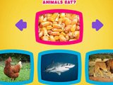 What Do Animals Eat? What Do Animals Eat?