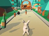 Rabbit Runner Game Rabbit Runner Game