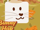 Bunny Hop Puzzle Game Bunny Hop Puzzle Game