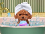 Pet Makeup Master Game Pet Makeup Master Game