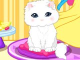 Show White and The Pet Game Show White and The Pet Game