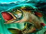 Ultimate Fishing Simulator Game Ultimate Fishing Simulator Game