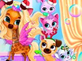Pets Grooming Bubble Party Game Pets Grooming Bubble Party Game