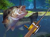 Forest Lake Fishing Game Forest Lake Fishing Game