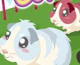 Guinea Pig Care Game Guinea Pig Care Game