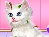 Kitty Care And Grooming Game Kitty Care And Grooming Game